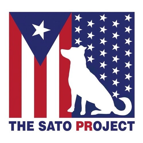 TheSatoProject