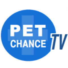 Pet Chance Television