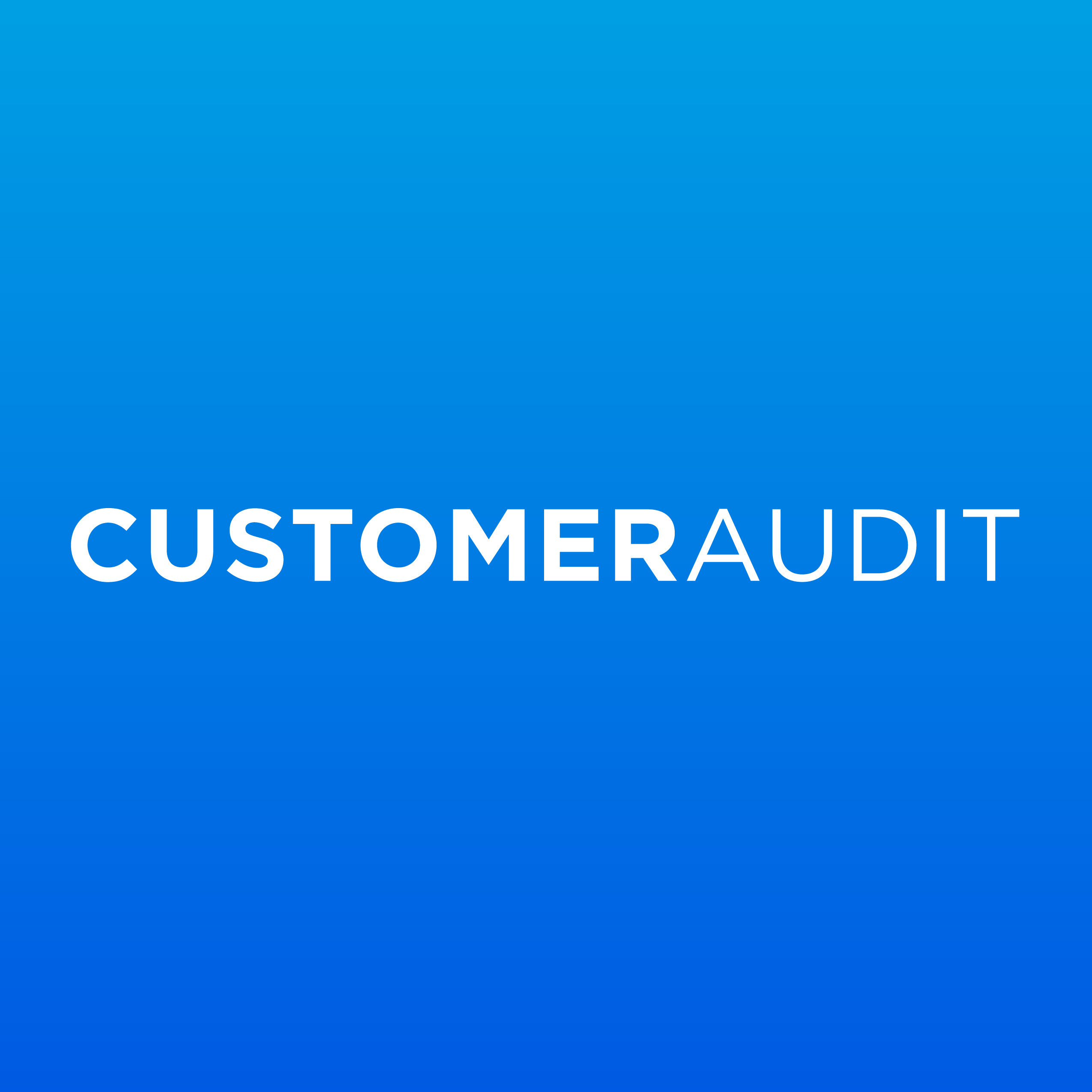 Customer Audit