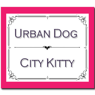 Urban Dog City Kitty