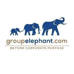 groupelephant