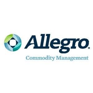 Allegro Development
