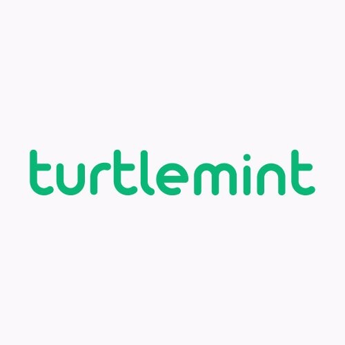 Turtlemint startup company logo