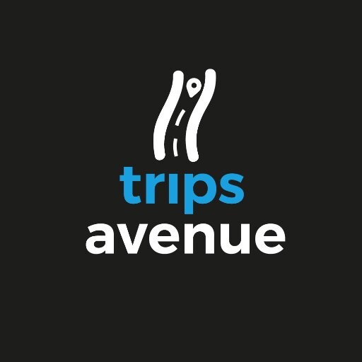 Trips Avenue: Build your own Travel Package!